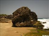 Pelicano Beach - ISABELA